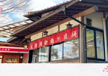 大樟館(たいしょうかん)公式サイトオープンのお知らせ 大樟館(たいしょうかん)公式サイトオープンのお知らせ